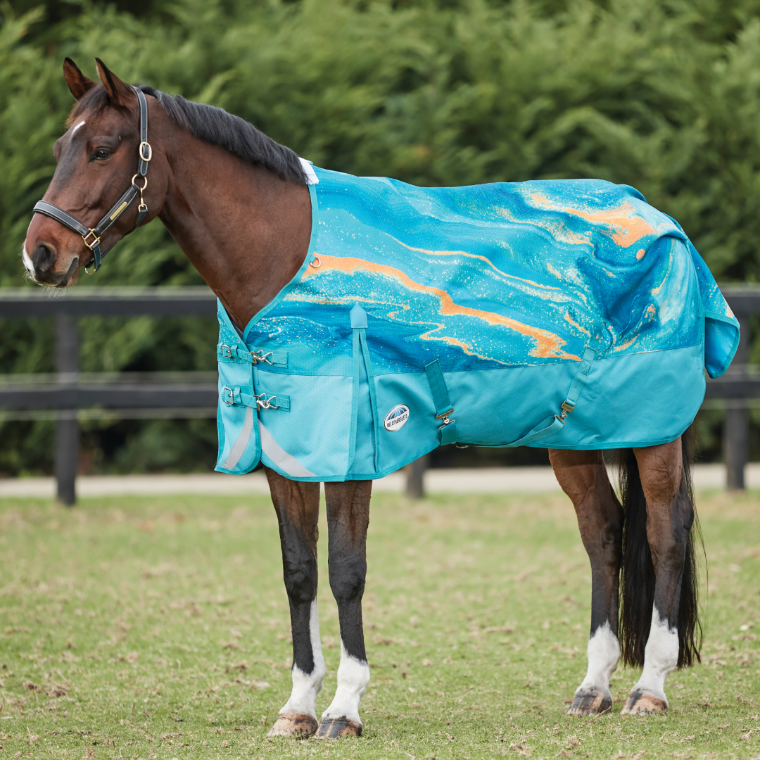 Weatherbeeta Comfitec Plus Dynamic II Standard Neck Lite