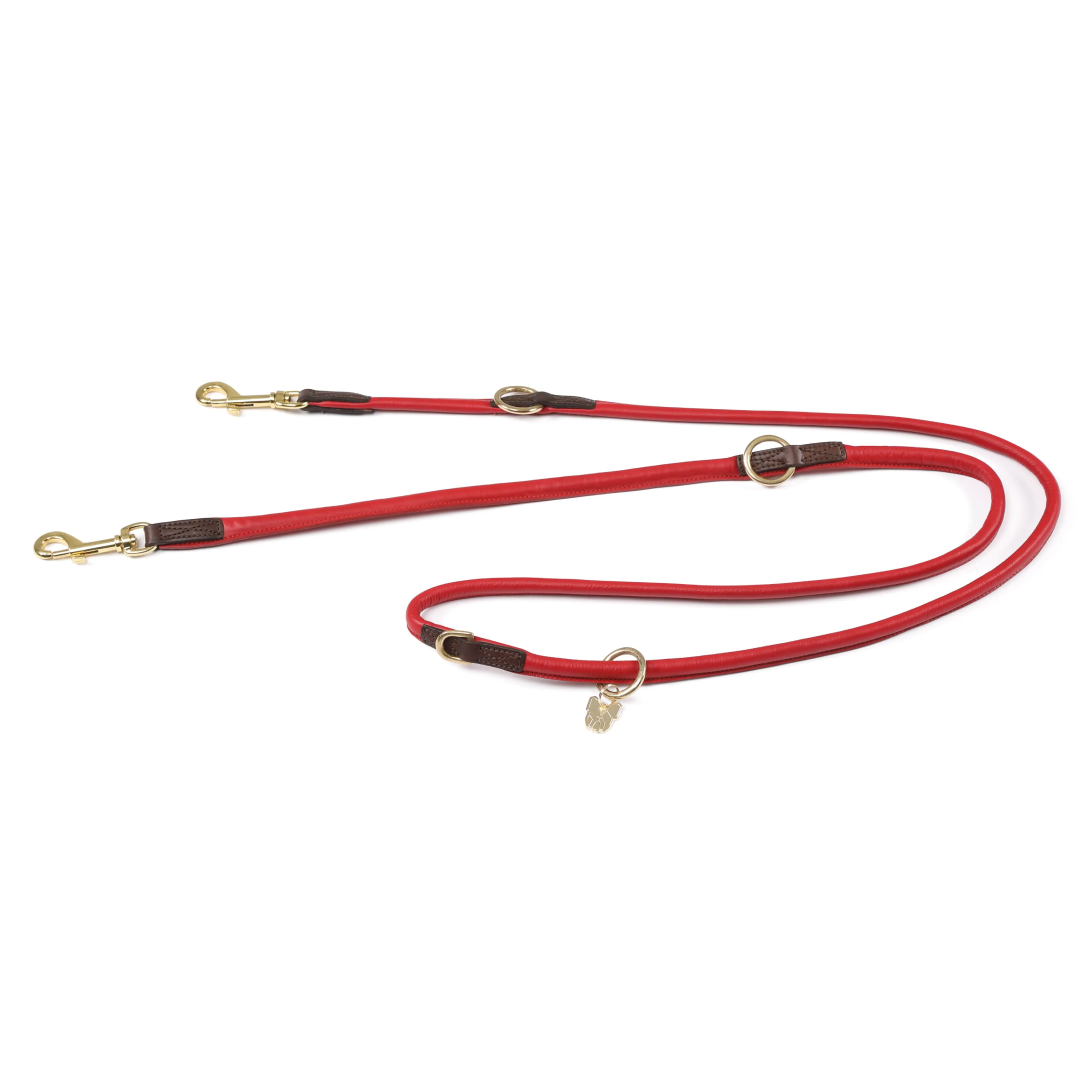Shires Digby & Fox Rolled Leather Training Lead