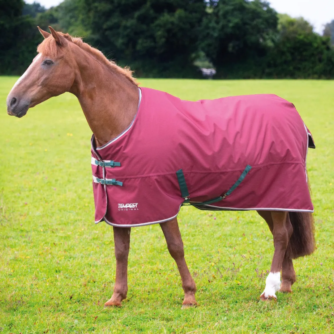 Shires Tempest Original 200g Turnout Rug