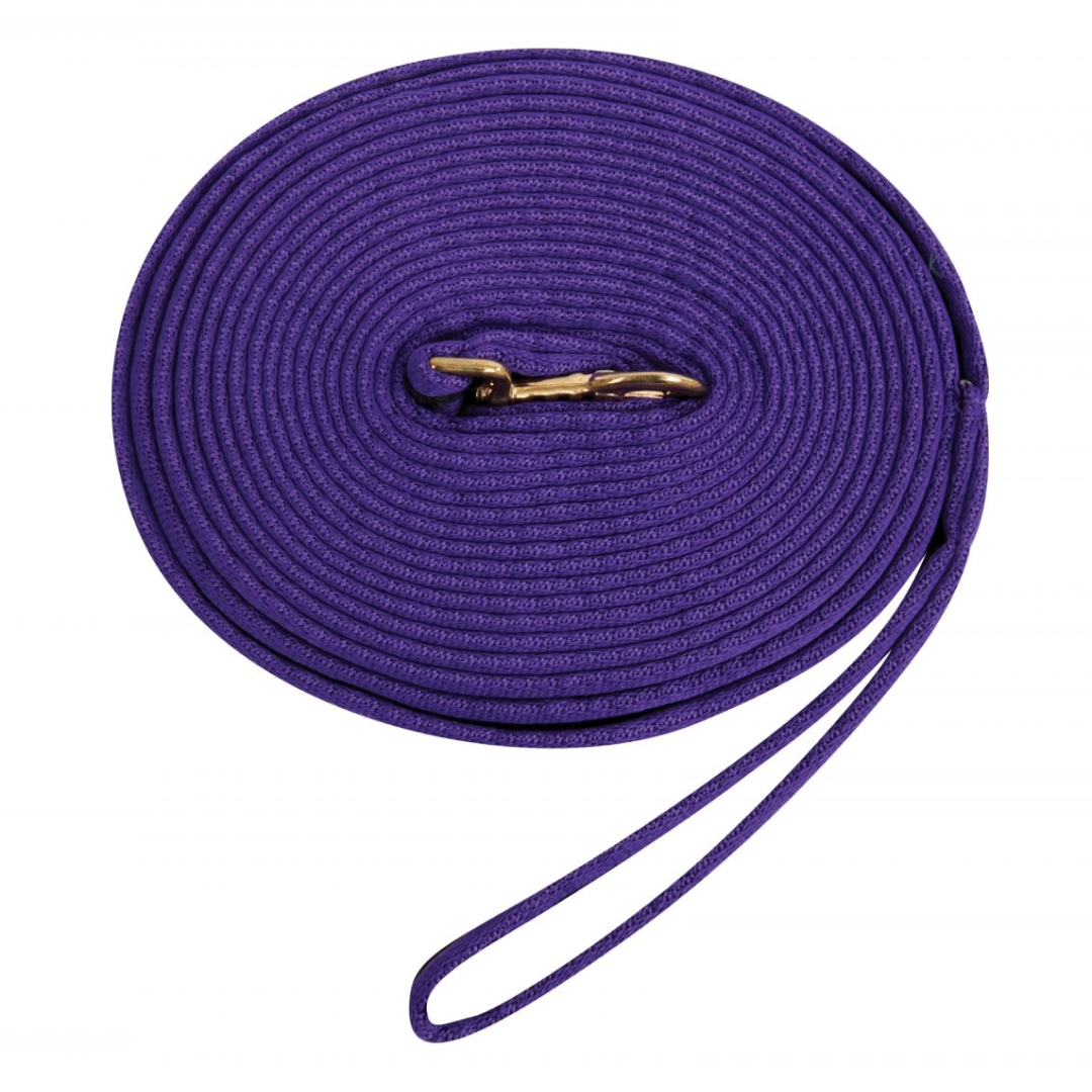 Kincade Two Tone Padded Lunging Rein