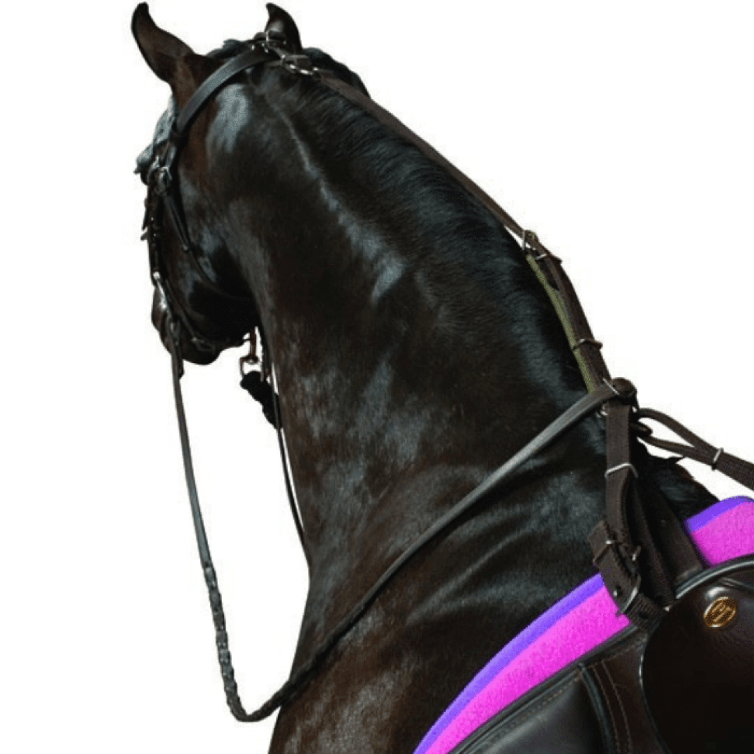 Kincade Poly Anti-Grazing Strap