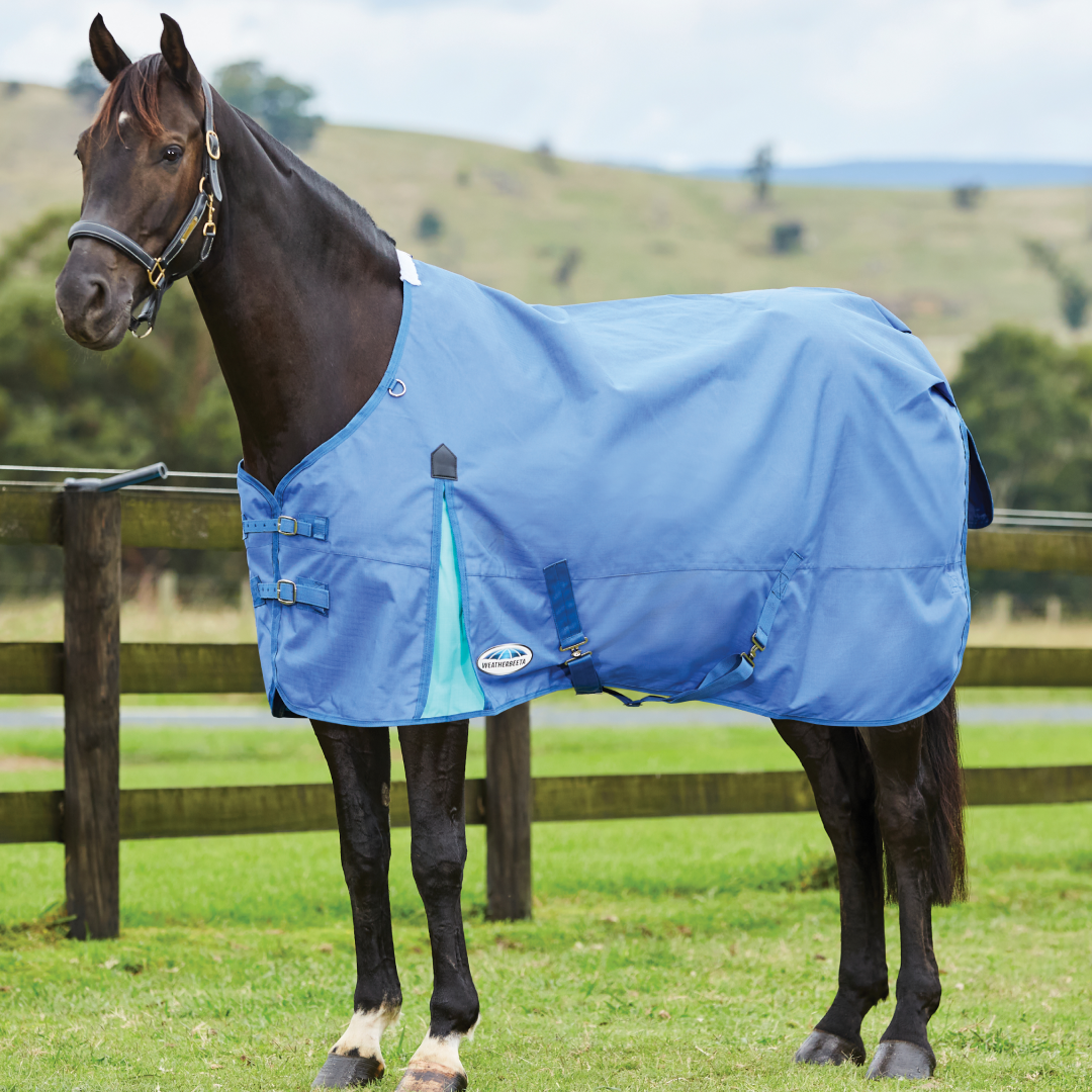 Weatherbeeta Comfitec Classic Standard Neck Medium/Lite