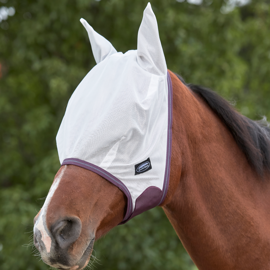 WeatherBeeta Comfitec Essential Mesh Fly Mask