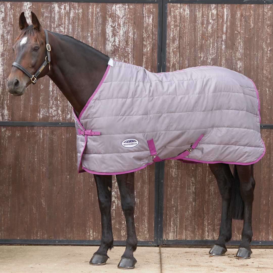Weatherbeeta Comfitec 210D Channel Quilt Standard Neck Medium Lite