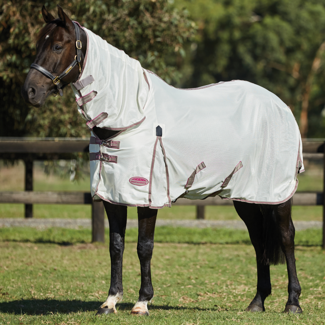 Weatherbeeta Comfitec Airflow II Combo Neck Rug
