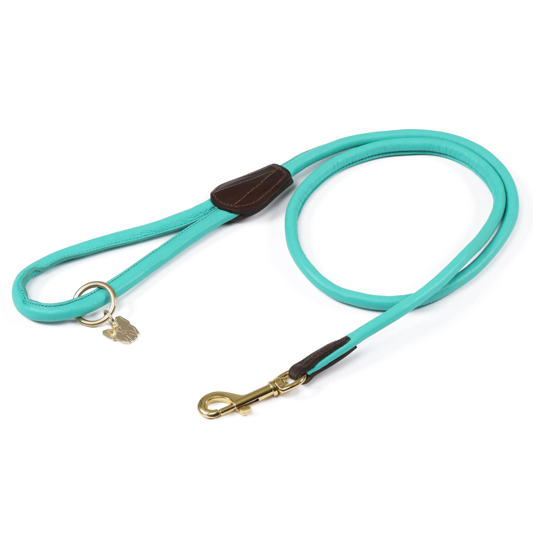 Shires Digby & Fox Rolled Leather Dog Lead