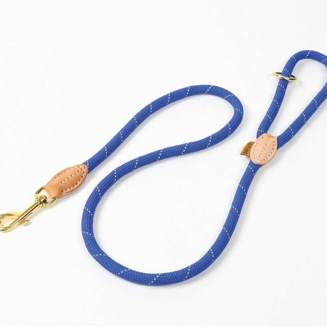 Shires Digby & Fox Reflective Dog Lead