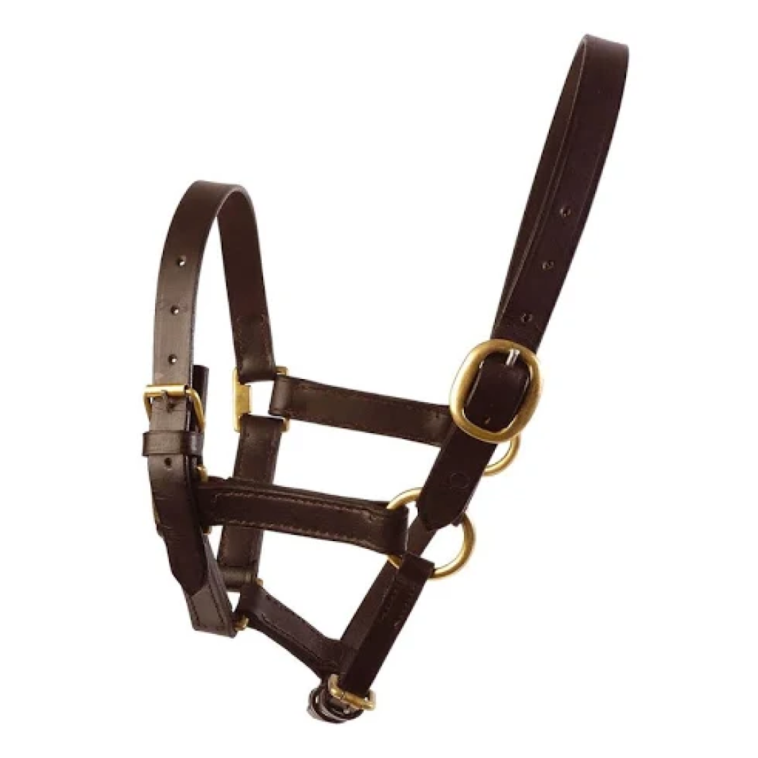 Hy Leather Foal Head Collar