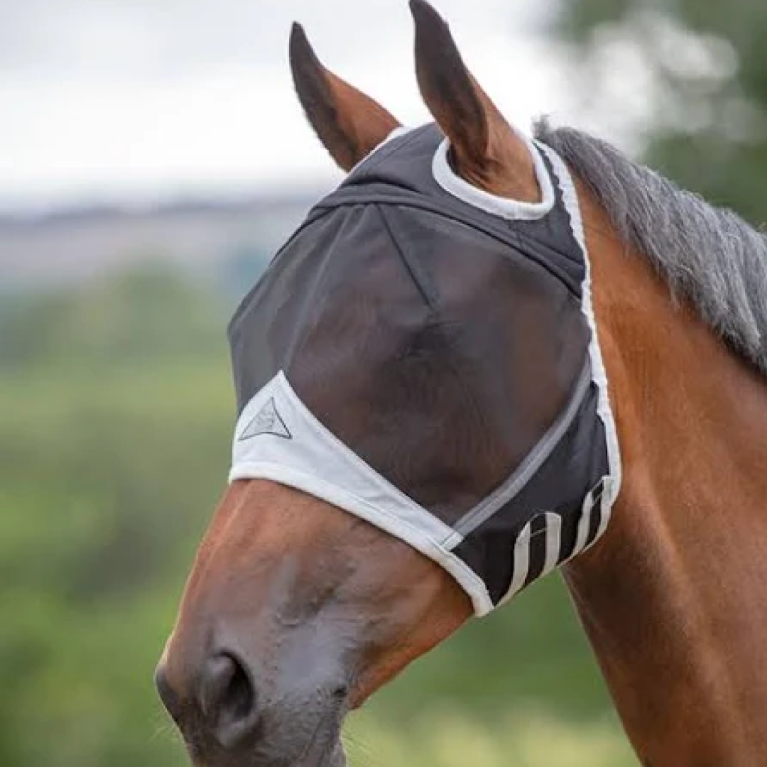 Shires Mesh Fly Mask With Ear Hole