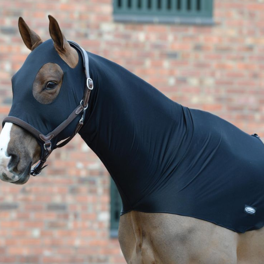 Weatherbeeta Stretch Hood