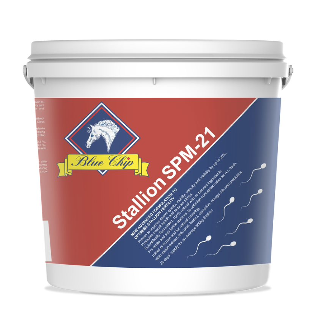 Blue Chip Stallion SPM-21