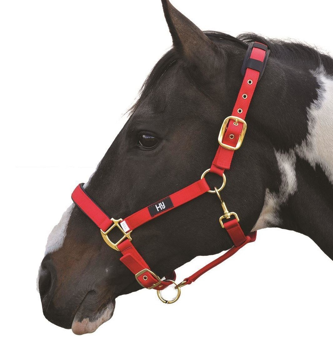 Hy Deluxe Padded Head Collar