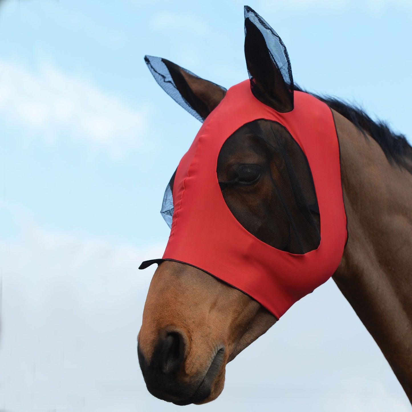 WeatherBeeta Stretch Bug Eye Saver with Ears