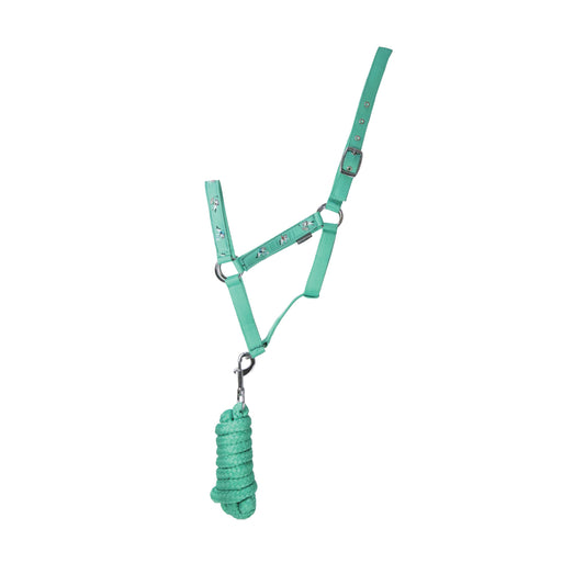 Hy Equestrian Competition Ready Head Collar and Lead Rope