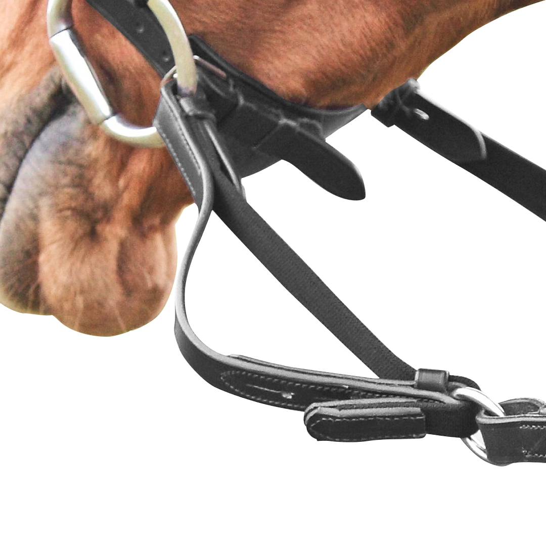 Shires Flexi Rein®