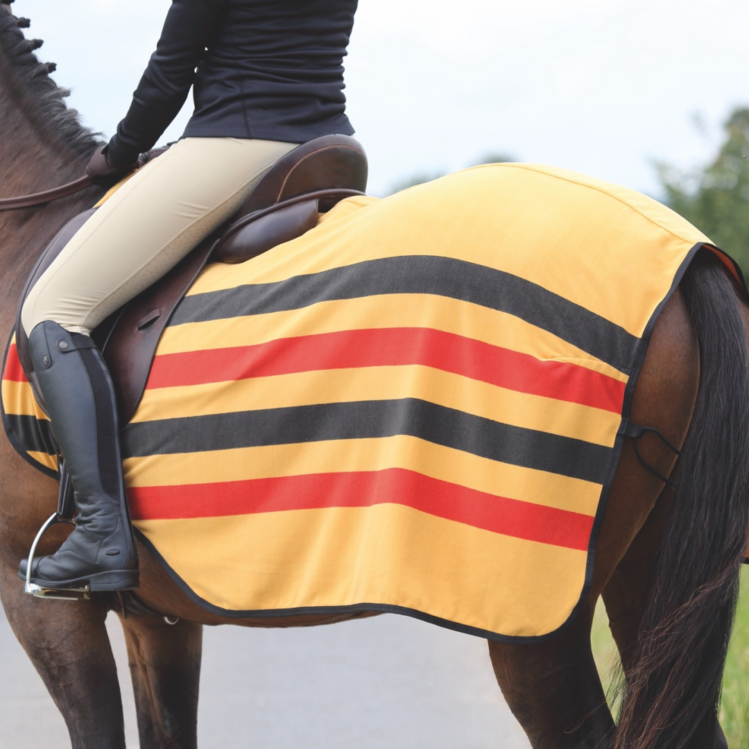 SHIRES TEMPEST HOJA DE Ejercicio de vellón original de Newmarket