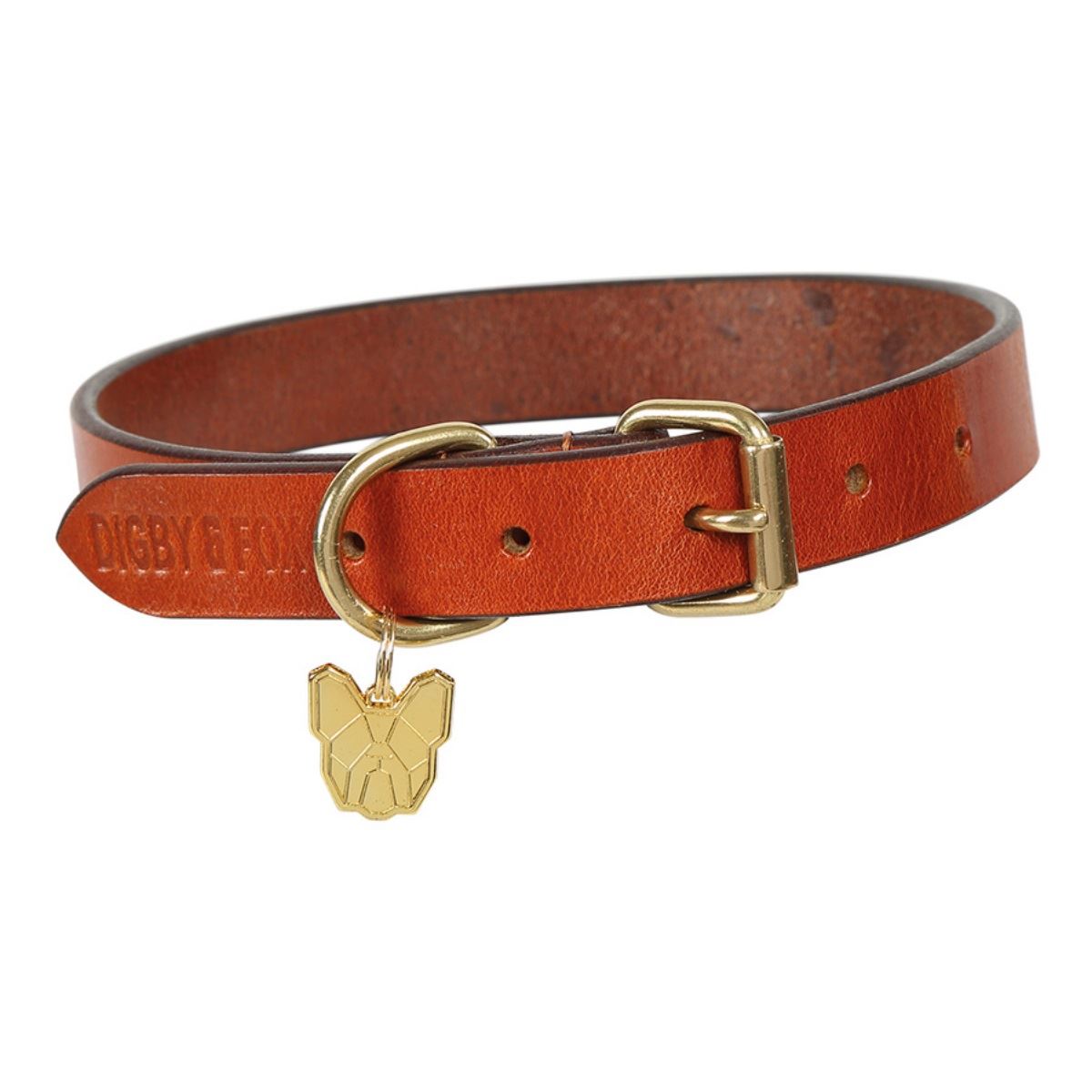Shires Digby & Fox Flat Leather Dog Collar
