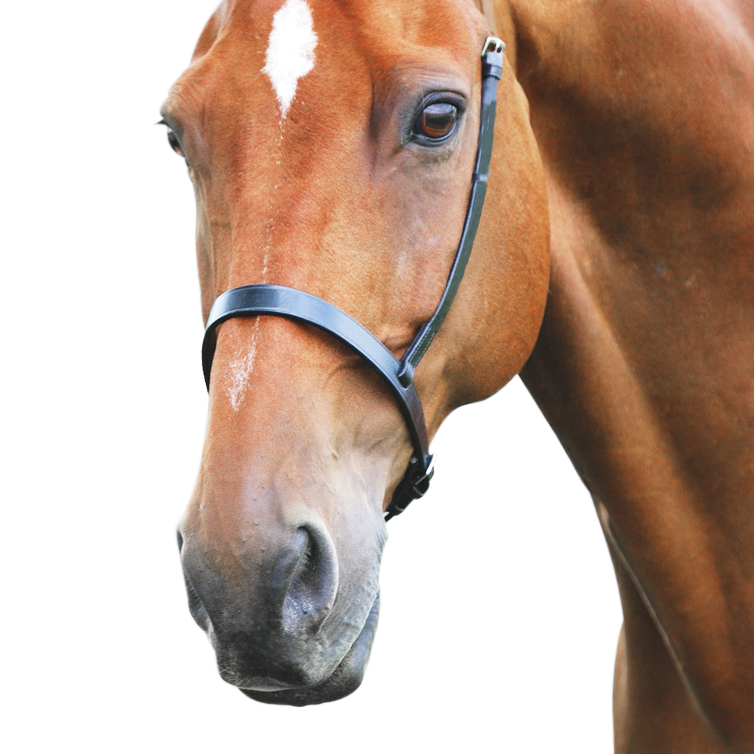 SHIRES Velociti Gara Cavesson Nariz de la nariz