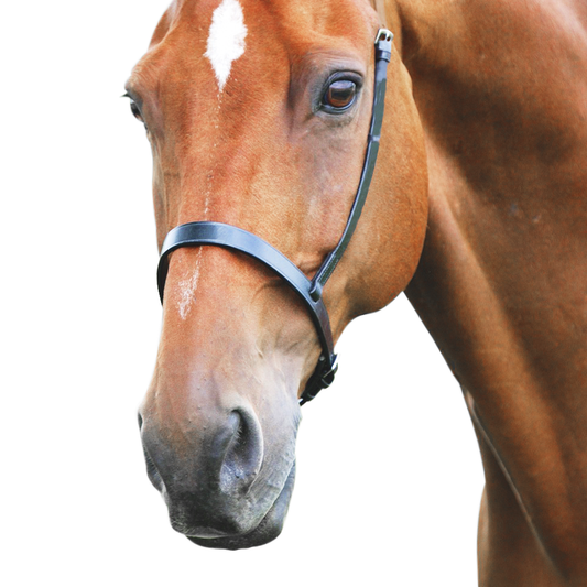 SHIRES Velociti Gara Cavesson Nariz de la nariz
