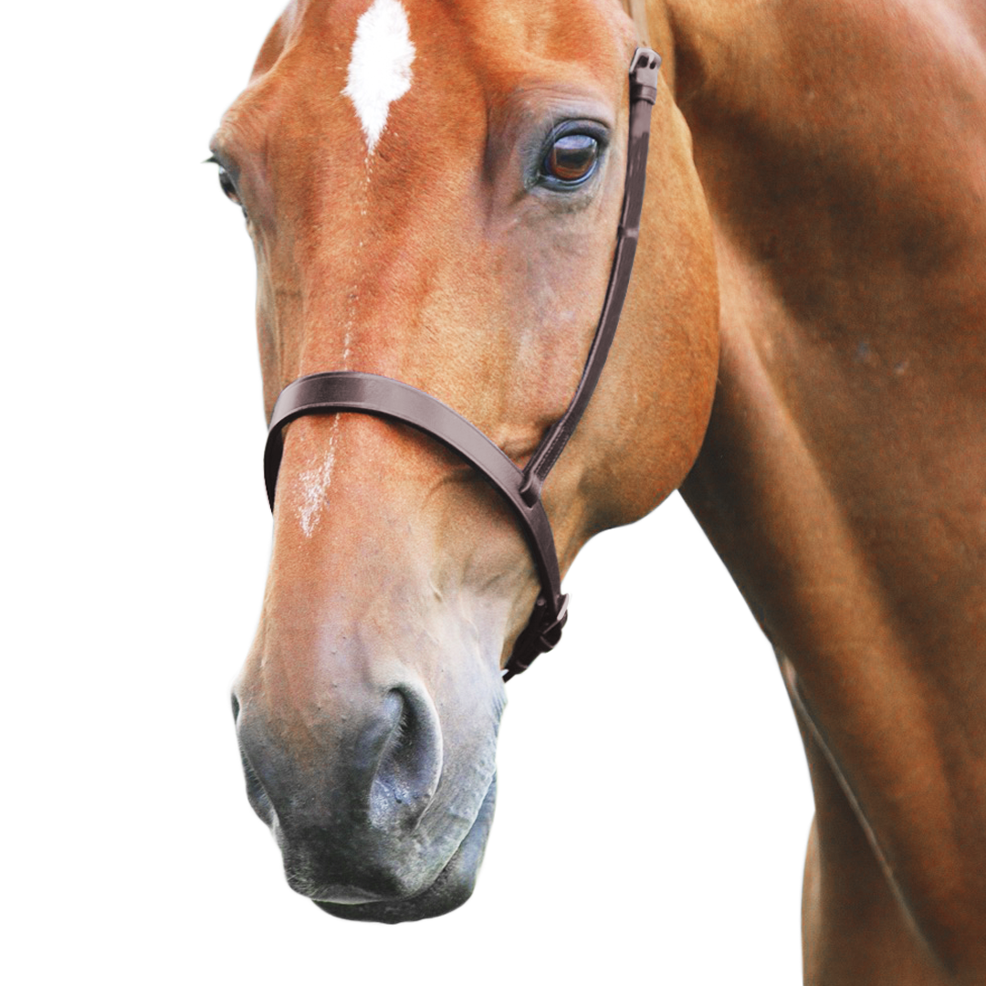 SHIRES Velociti Gara Cavesson Nariz de la nariz