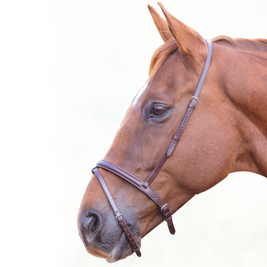 SHIRES Velociti Gara Flash Banda