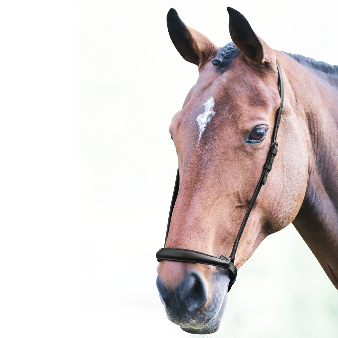 SHIRES Velociti Gara Drop de la nariz