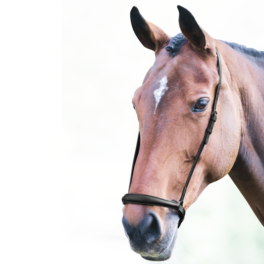 SHIRES Velociti Gara Drop de la nariz