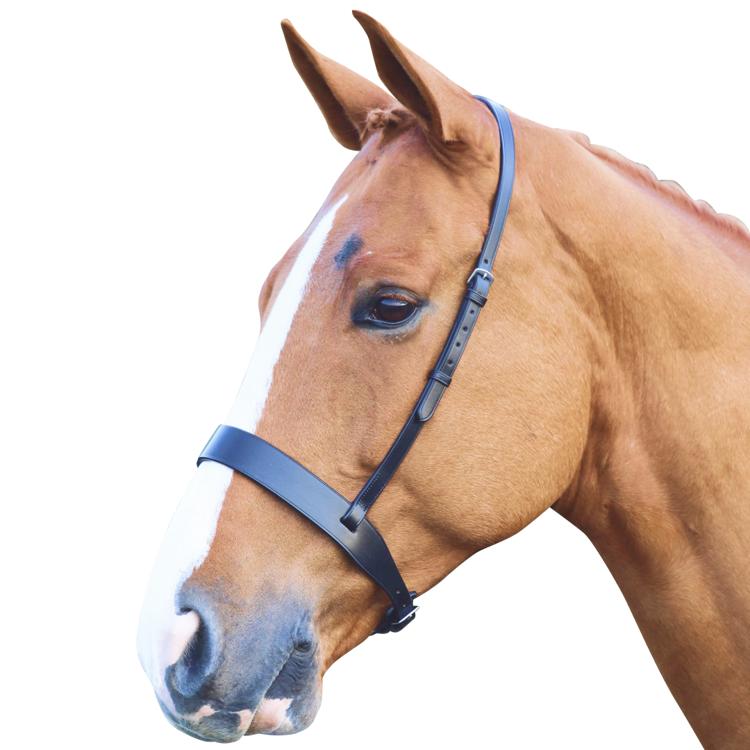 SHIRES Velociti Gara Hunter Cavesson Nariz Band