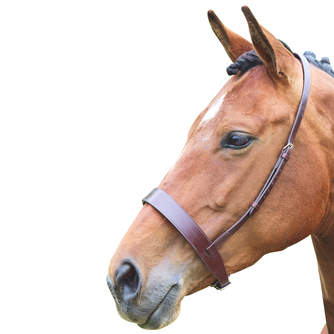 SHIRES Velociti Gara Hunter Cavesson Nariz Band