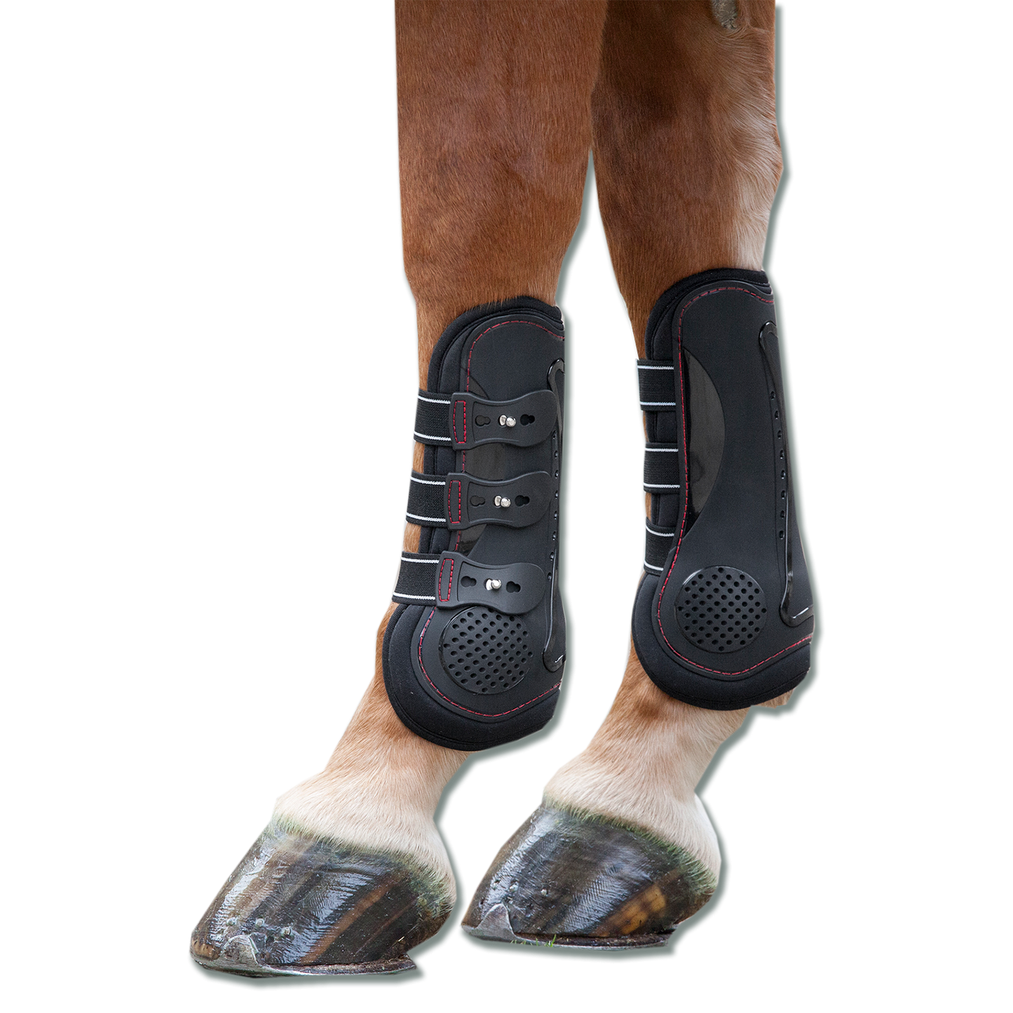 Waldhausen Memory Foam Tendon Boots