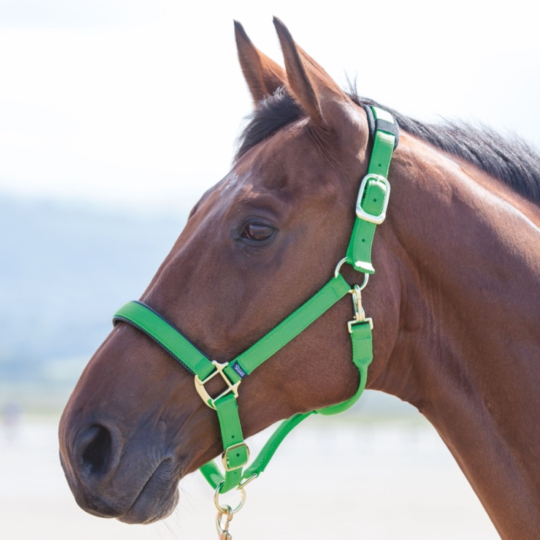 SHIRES TOPAZ NYLON HEADCOLAR