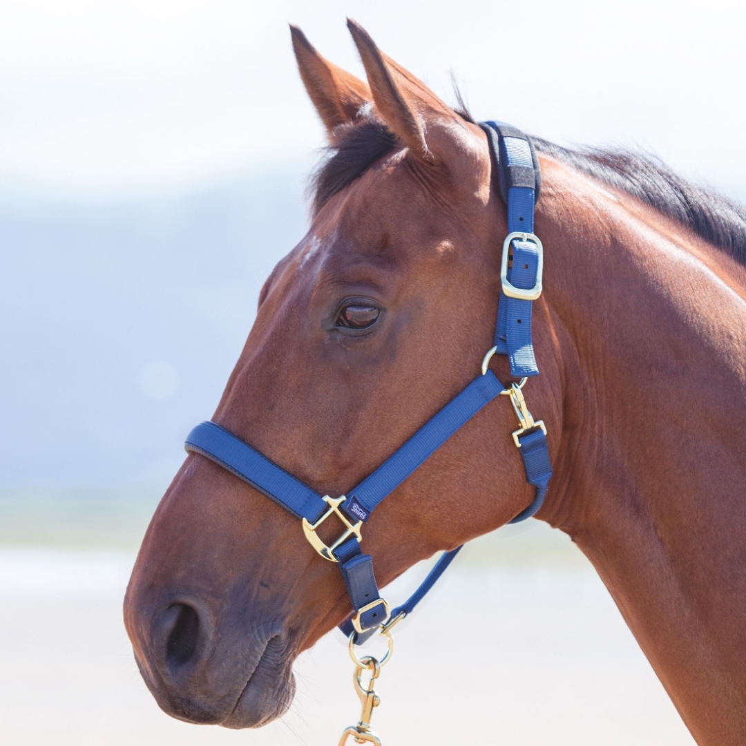 SHIRES TOPAZ NYLON HEADCOLAR