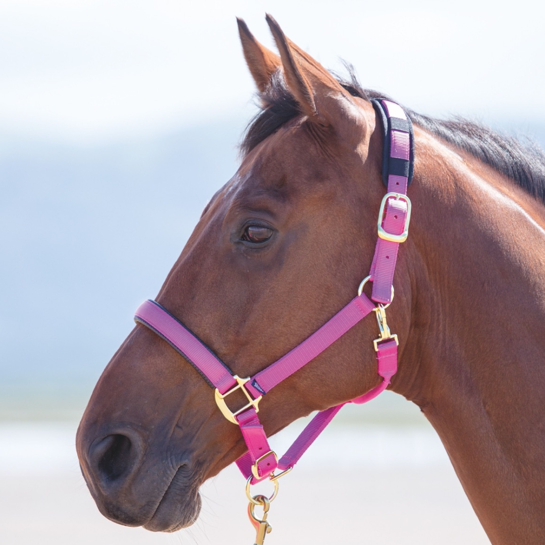 SHIRES TOPAZ NYLON HEADCOLAR