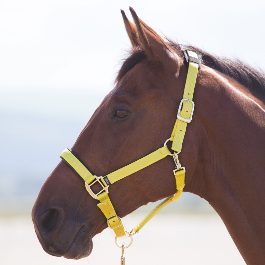 SHIRES TOPAZ NYLON HEADCOLAR
