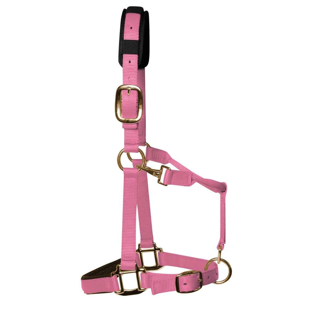KM Elite Padded Headcollar