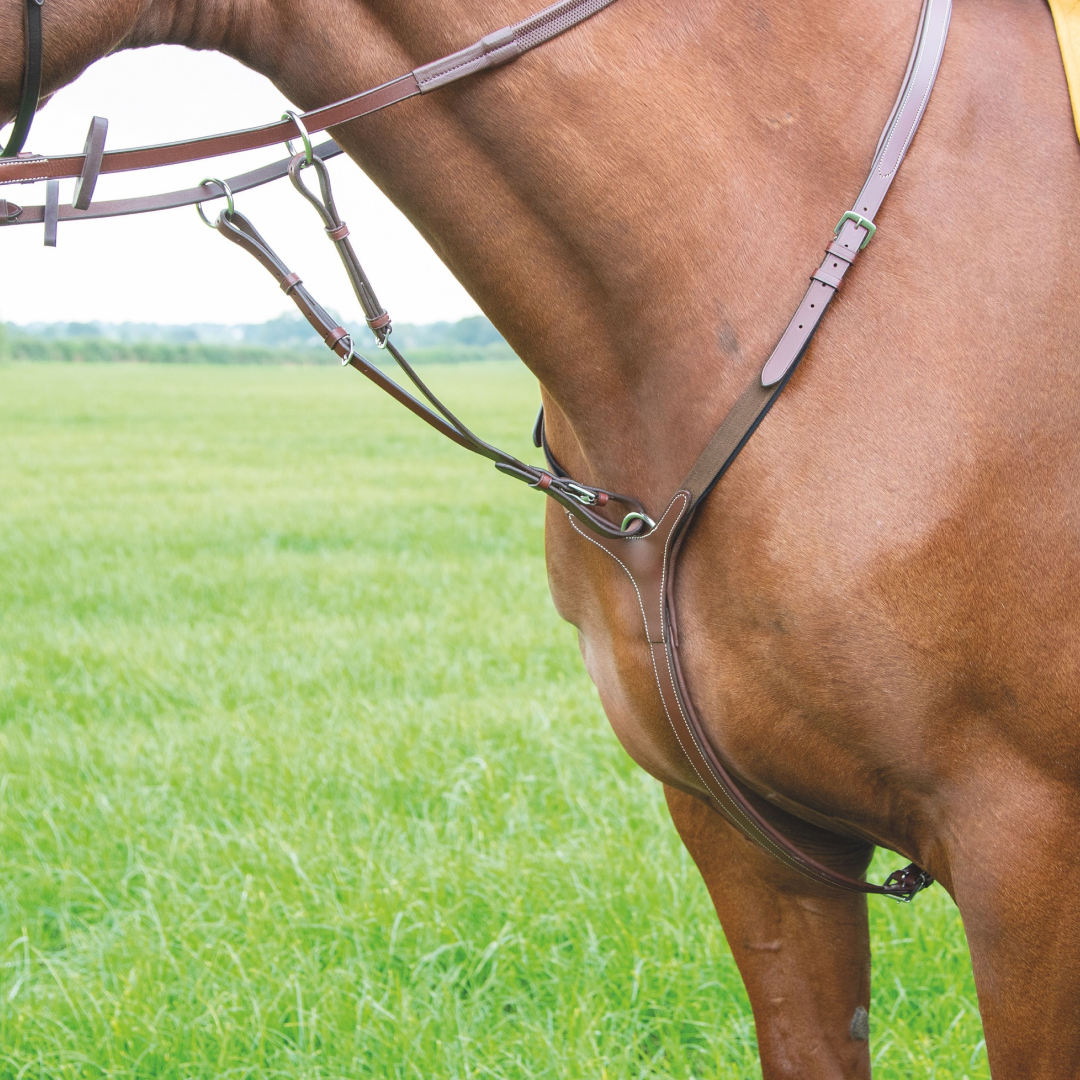 Shires Avignon 3-Point Breastplate