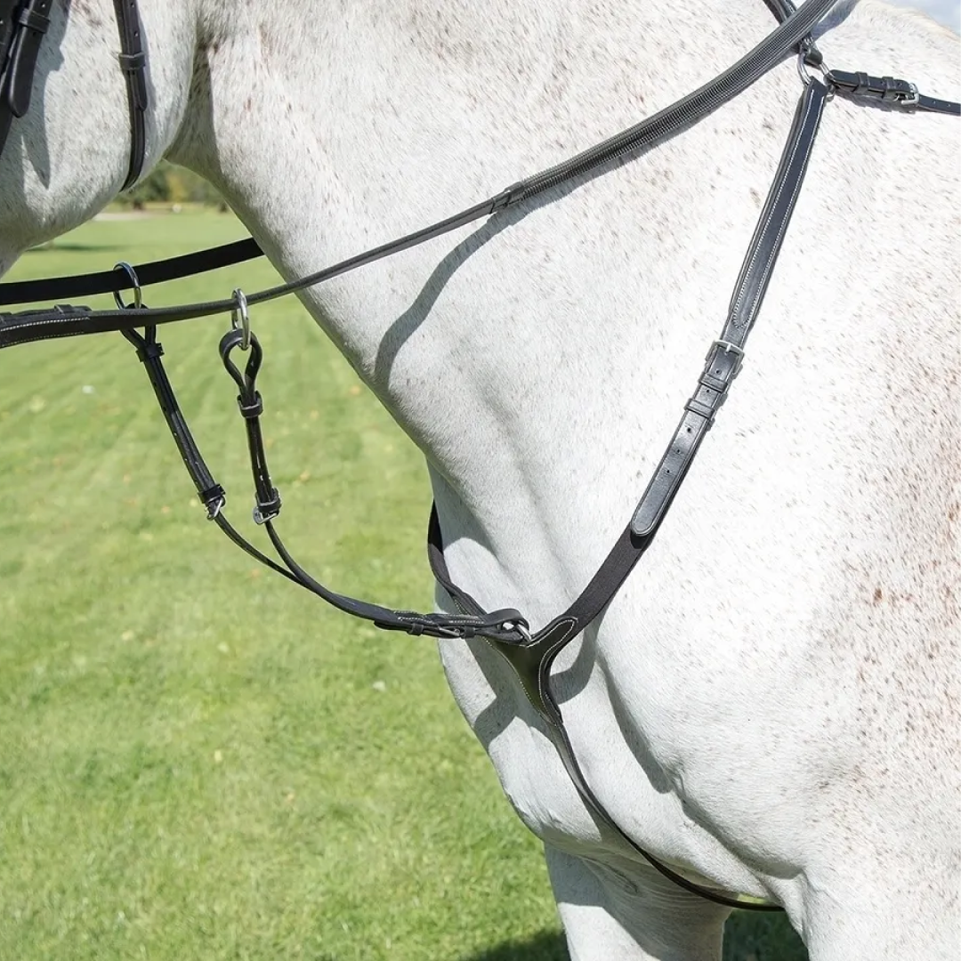 Shires Avignon 3-Point Breastplate