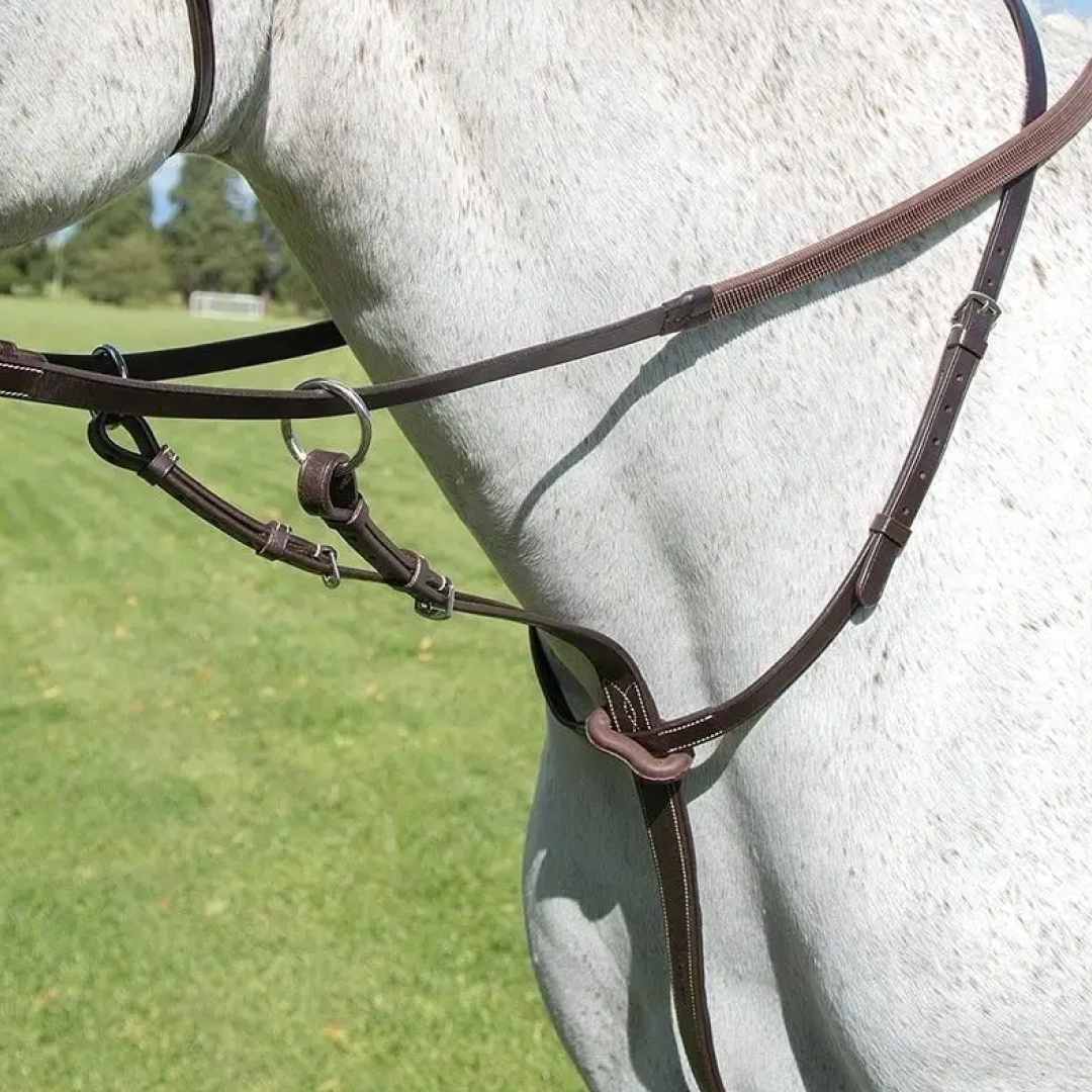 Shires Avignon Running Martingale