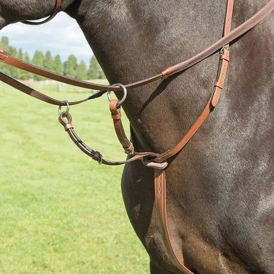 Shires Avignon Running Martingale