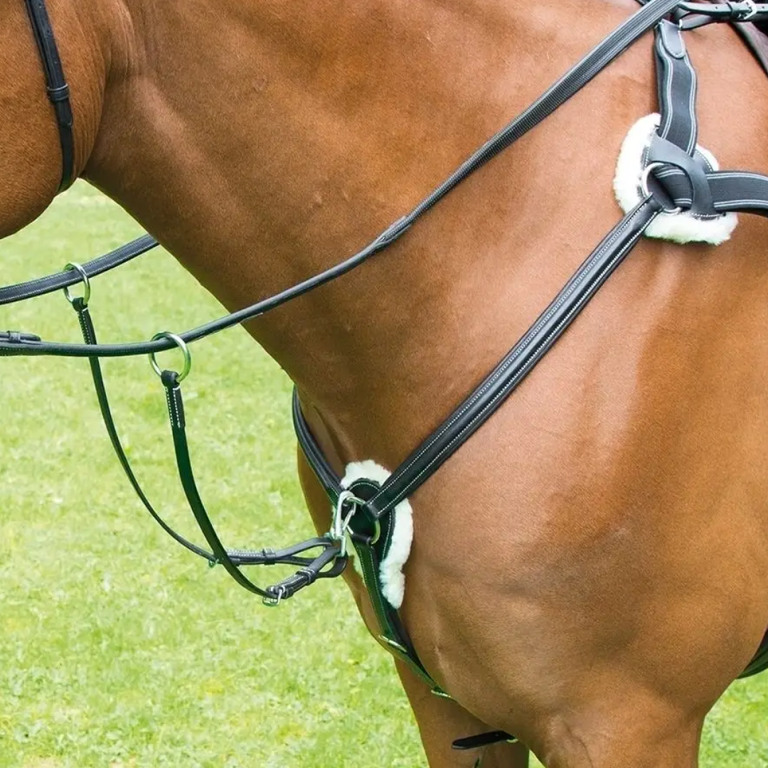 Shires Avignon 5-Point Breastplate