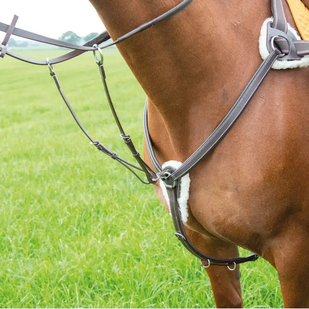 Shires Avignon 5-Point Breastplate