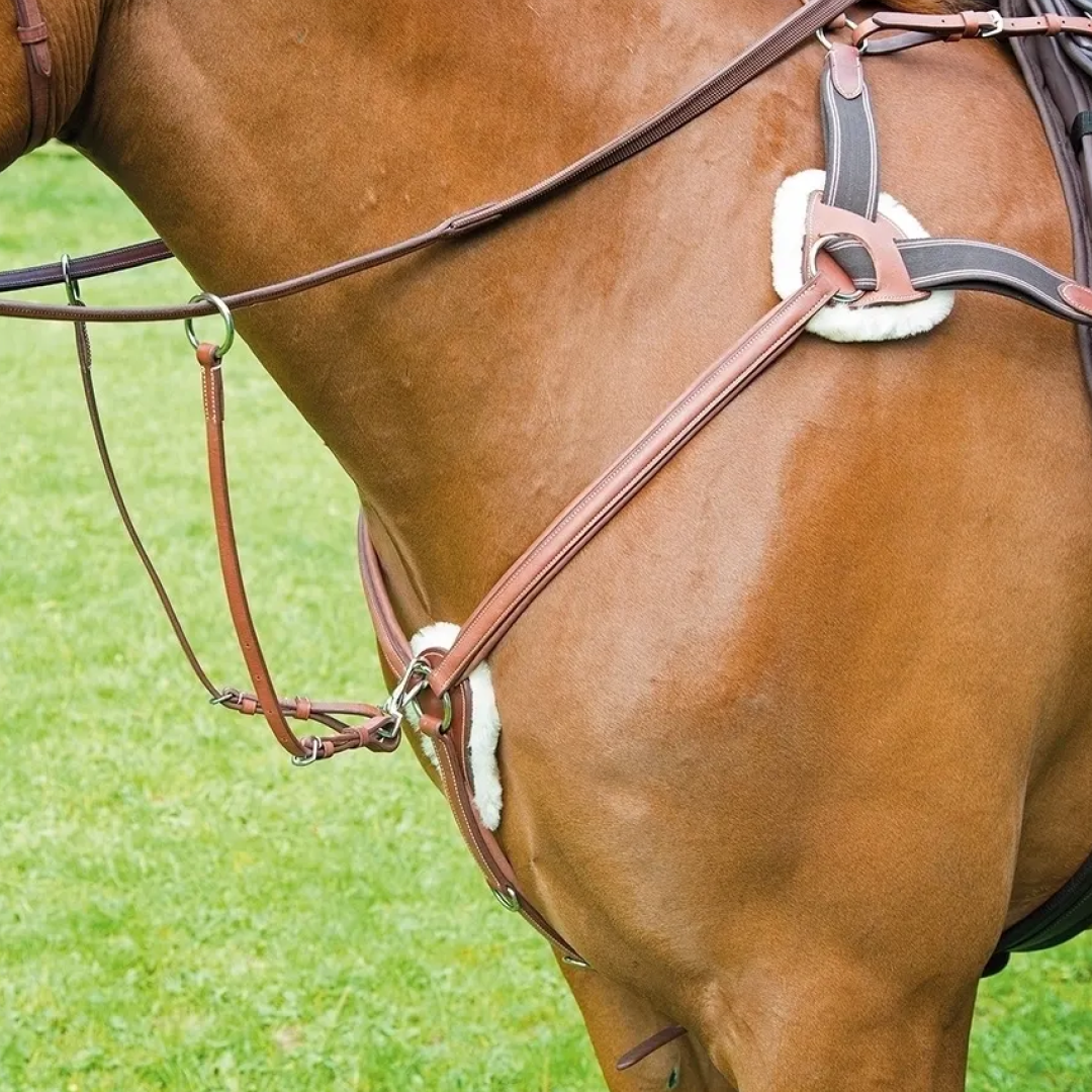 Shires Avignon 5-Point Breastplate
