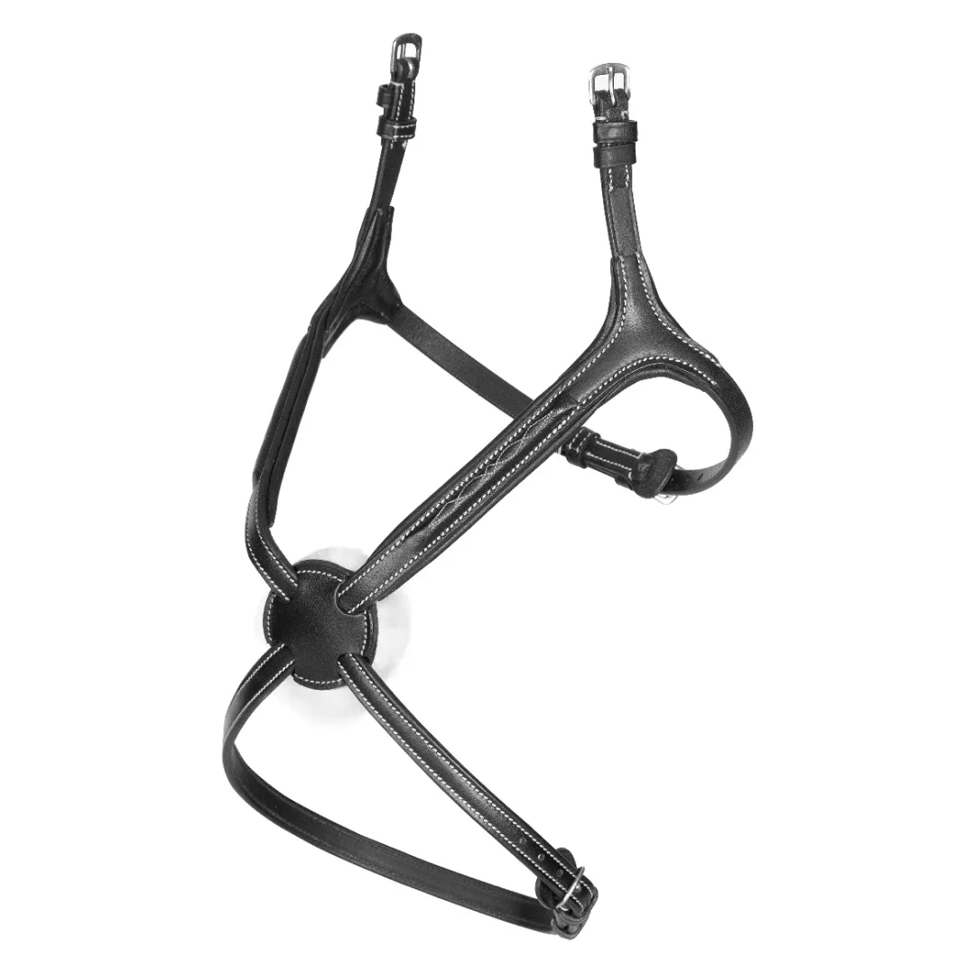Shires Avignon Grackle Noseband