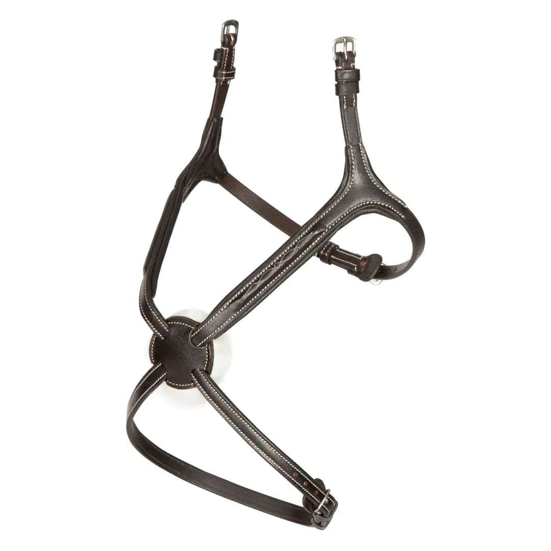 Shires Avignon Grackle Noseband