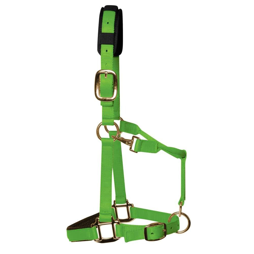 KM Elite Padded Headcollar