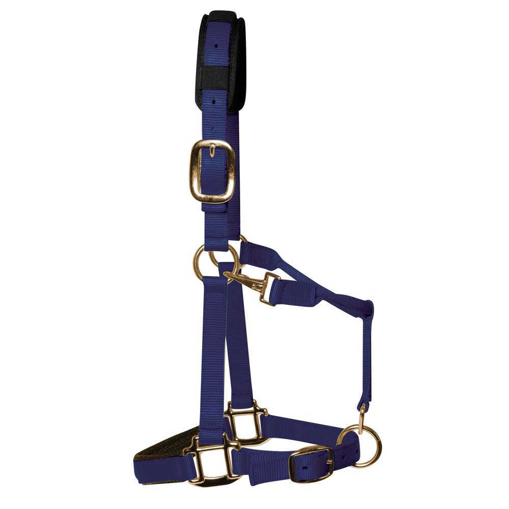 KM Elite Padded Headcollar