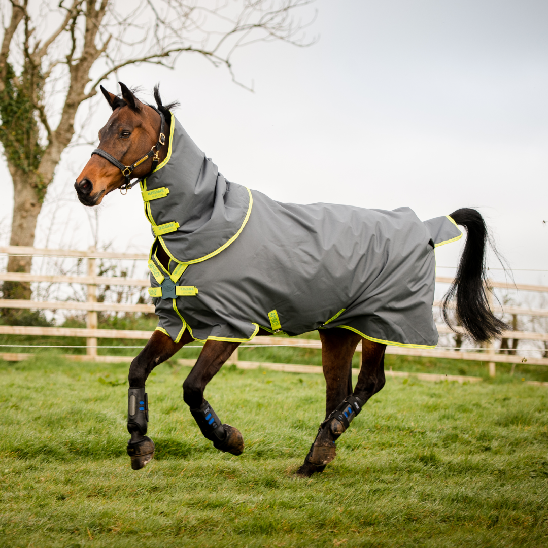 Horseware Ireland Amigo Hero 900 Plus Disc Front Closure Turnout Lite 100g
