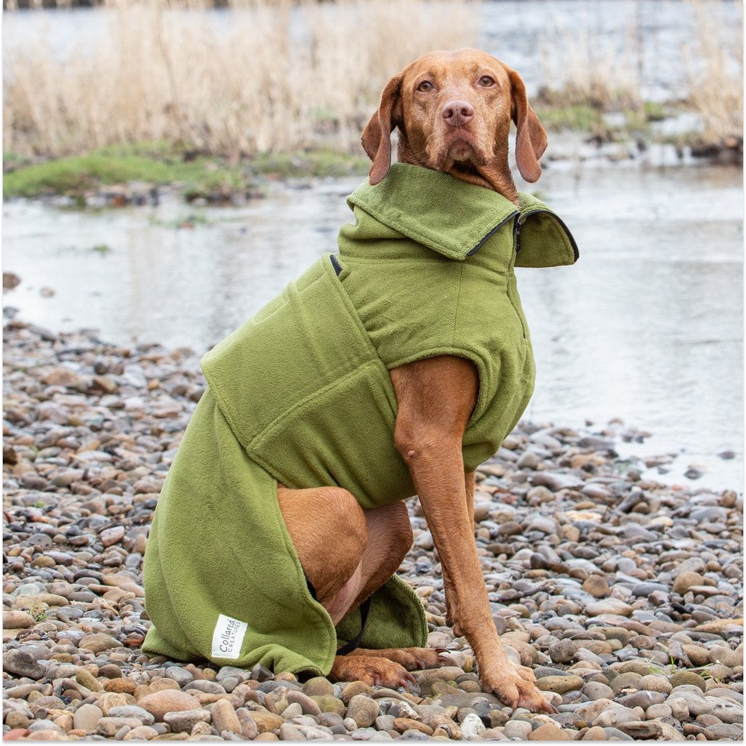 Collared Creatures Dog Drying Coat