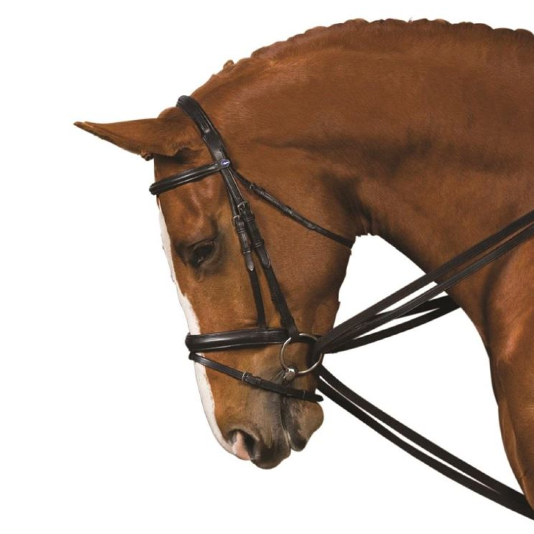 Kincade Web Draw Reins