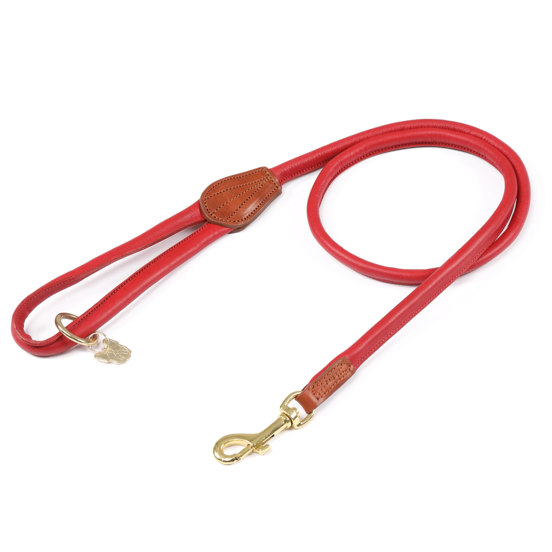 Shires Digby & Fox Rolled Leather Dog Lead